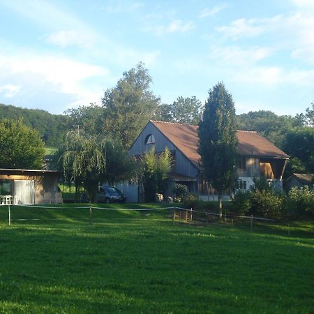 Bnb Pavillon Paisible Orsonnens Екстериор снимка